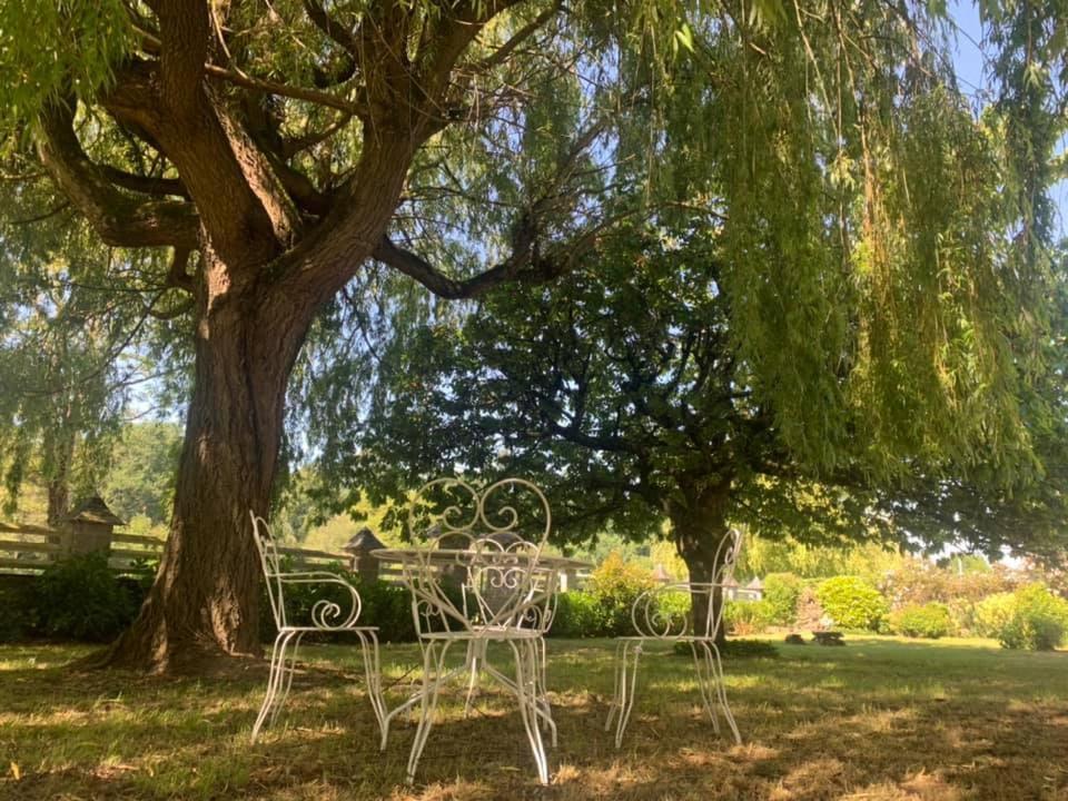 Daon River Cottage 2 Nuits Minimums Par Reservation מראה חיצוני תמונה